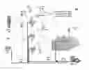 Fig. 01 - Wireless access system
