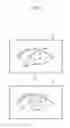 Fig. 09 - Eye-fatigue examining device and eye-fatigue examining method