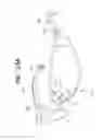 Fig. 35 - Apparatus and method for measuring biologic parameters