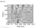 Fig. 09 - Methods and magnetic imaging devices to inventory human brain cortical function