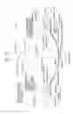 Fig. 25 - Aperture, collimator, and X-ray tomographic imaging apparatus