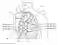 Fig. 01 - Auscultatory sound-or-vibration sensor