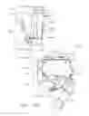 Fig. 136 - Drive train control arrangements for modular surgical instruments