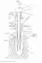 Fig. 02 - Dental implant system