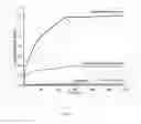 Fig. 06 - Dental Composition