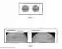 Fig. 02 - COSMETIC COMPOSITIONS