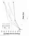 Fig. 02 - Pregabalin-containing, oral sustained-release triple layer tablet