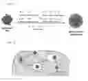 Fig. 02 - Nanocapsule delivery system for ribonucleoproteins