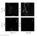 Fig. 09 - Nanocapsule delivery system for ribonucleoproteins