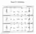Fig. 48 - Imaging composition and uses thereof