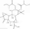 Fig. 10 - Tiglien-3-one derivatives