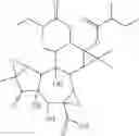 Fig. 16 - Tiglien-3-one derivatives