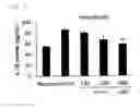 Fig. 07 - Inhibitor of inflammasome activation