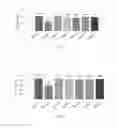 Fig. 08 - Pharmaceutical Composition for Decreasing The Side Effects of Pancreatic Cancer Drug, and Manufacturing Method and Uses Thereof