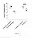 Fig. 04 - Antibacterial use of halogenated salicylanilides
