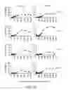 Fig. 05 - RETROVIRAL CONSTRUCT HARBORING A LET-7 INSENSITIVE NUCLEIC ACID ENCODING HMGA2 AND METHODS OF USE THEREOF