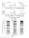 Fig. 06 - RETROVIRAL CONSTRUCT HARBORING A LET-7 INSENSITIVE NUCLEIC ACID ENCODING HMGA2 AND METHODS OF USE THEREOF