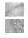 Fig. 08 - Use of growth hormone fragments