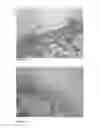 Fig. 09 - Use of growth hormone fragments