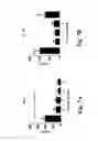 Fig. 09 - Liposomal flu vaccine formulation