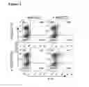 Fig. 03 - METHODS OF USING INTERLEUKIN-10 FOR TREATING DISEASES AND DISORDERS