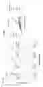 Fig. 09 - Agonist antibodies that bind human CD137 and uses thereof