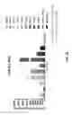 Fig. 28 - Agonist antibodies that bind human CD137 and uses thereof