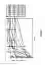 Fig. 08 - BIODEGRADABLE DRUG DELIVERY COMPOSITIONS