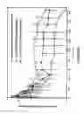 Fig. 35 - BIODEGRADABLE DRUG DELIVERY COMPOSITIONS