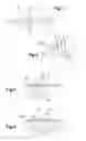 Fig. 02 - Methods of manufacturing a hermetic and isolating feedthrough for an electronic device casing, in particular made of titanium