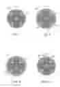 Fig. 05 - Golf balls having core structures with iron-containing centers