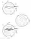 Fig. 06 - Systems and methods for producing a sports ball
