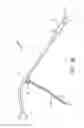 Fig. 09 - WATERING WAND WITH ROTATABLE LEGS