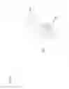 Fig. 14 - JEWELRY MOUNT DEVICE