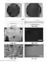 Fig. 13 - ARTICLES AND METHODS PROVIDING LIQUID-IMPREGNATED SCALE-PHOBIC SURFACES