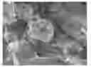 Fig. 01 - Fluorinated graphene and preparation method thereof