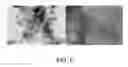 Fig. 08 - Method for the synthesis of nanoparticles of heterometallic nanocomposite materials