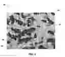 Fig. 06 - Braze material for ceramic matrix composite articles