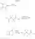 Fig. 50 - 4-HYDROXYBUTYRIC ACID ANALOGS