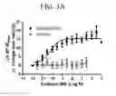Fig. 06 - Bromotriazole intermediates