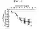 Fig. 09 - Bromotriazole intermediates