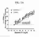 Fig. 10 - Bromotriazole intermediates