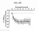 Fig. 13 - Bromotriazole intermediates