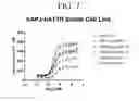 Fig. 14 - Bromotriazole intermediates