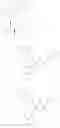 Fig. 252 - Bromotriazole intermediates