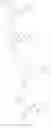 Fig. 253 - Bromotriazole intermediates