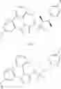 Fig. 366 - Bromotriazole intermediates