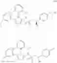 Fig. 522 - Bromotriazole intermediates