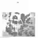 Fig. 04 - SOLID FORMS COMPRISING (1E, 4E)-2-AMINO-N,N-DIPROPYL-8-(4-(PYRROLIDINE-1-CARBONYL)PHENYL)-3H-BENZO[B]AZEPINE-4-CARBOXAMIDE, COMPOSITIONS THEREOF, AND USES THEREOF