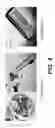 Fig. 05 - Crystalline form of (2S,3S,6S,7R,10R,E)-7,10-dihydroxy-3,7-dimethyl-12-oxo-2-((R,2E,4E)-6-(piridin-2-yl)hepta-2,4-dien-2-yl)oxacyclododec-4-en-6-yl-4-methylpiperazine-1-carboxylate and methods of use thereof
